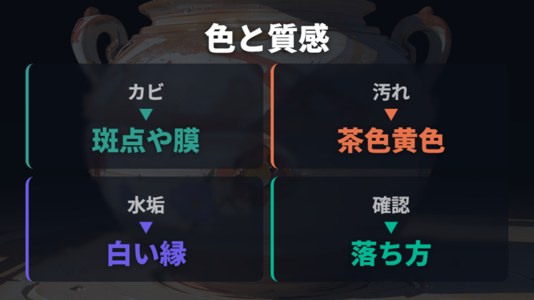 カビと黒ずみ・白い斑点の違いは色と質感で見る